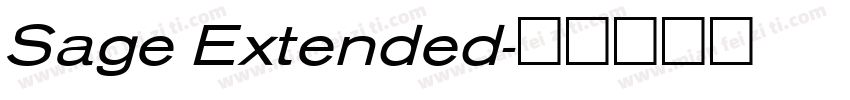 Sage Extended字体转换